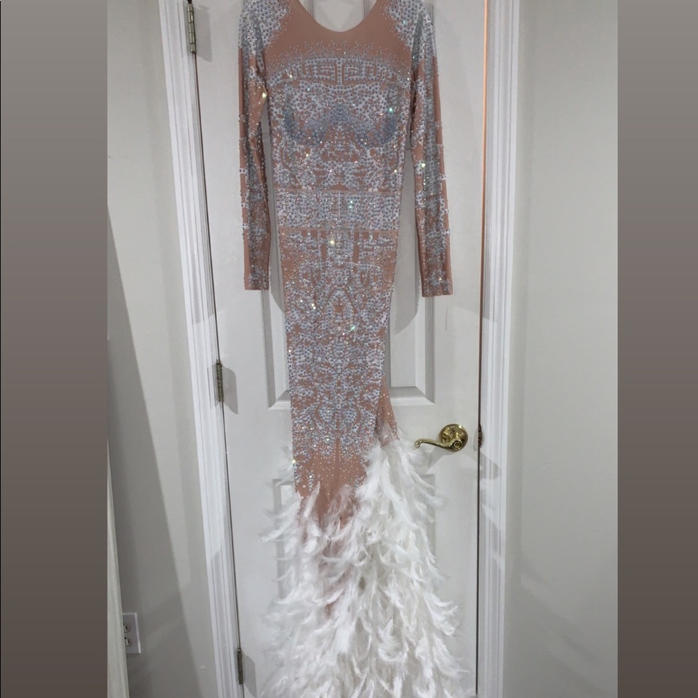 Stunning Sparkly Prom Dress With A White Feathered Train - Picture 7 of 7